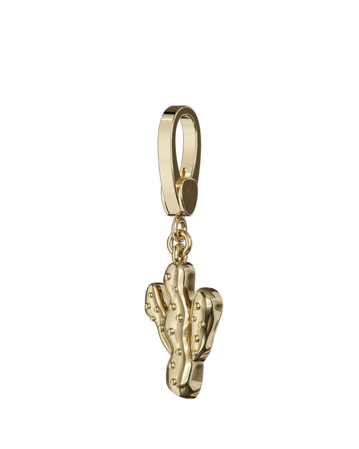 Cactus Charm
