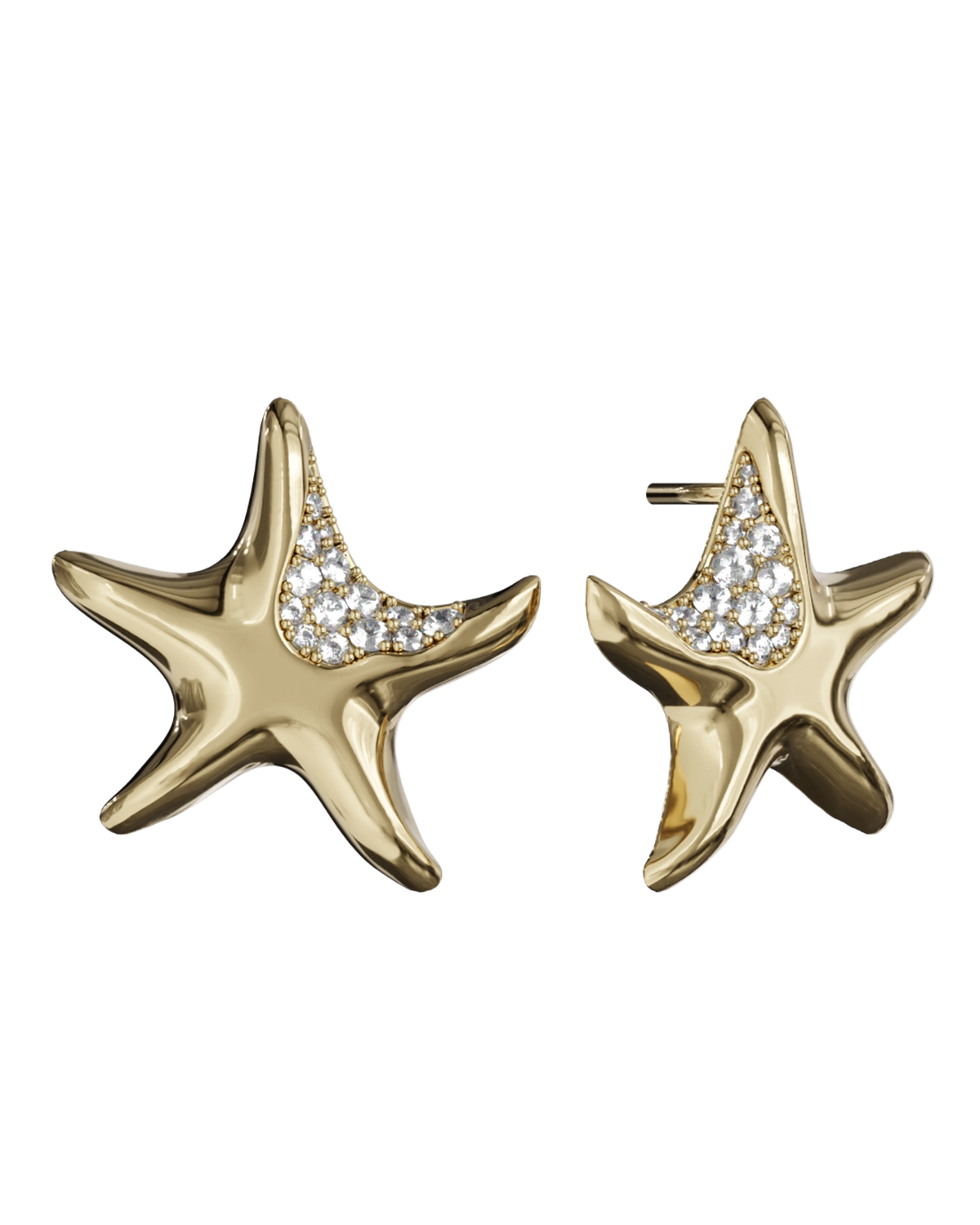 Sea Star Küpe